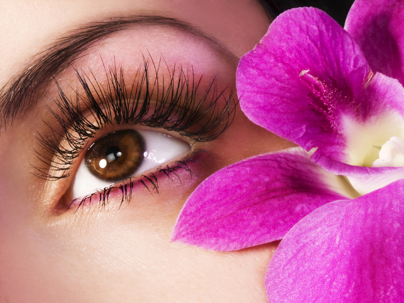  3D szempillahosszabítás